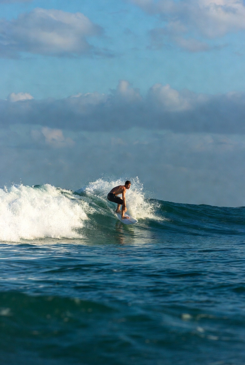 surf wallpaper phone